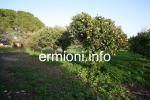 GL 0172 - Plot of land - Wista - Ermioni